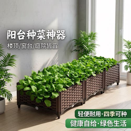 阳台种菜盆楼顶专用户外花盆家用
