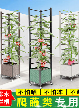 花架置物架阳台庭院爬藤架花箱种植箱可移动种菜种花塑料专用箱