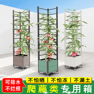 花架置物架阳台庭院爬藤架花箱种植箱可移动种菜种花塑料专用箱