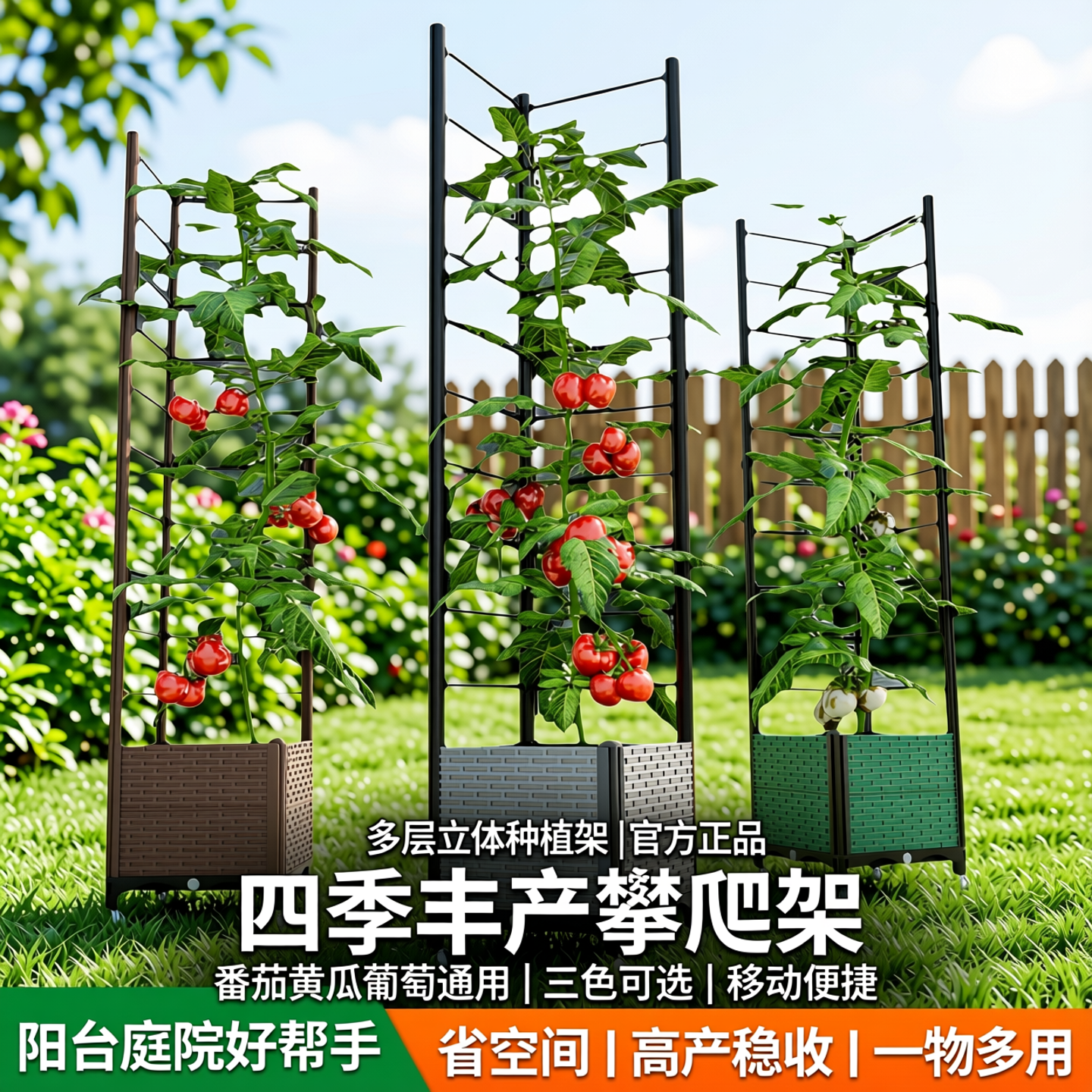 蔬菜爬藤架蔬菜花架葡萄