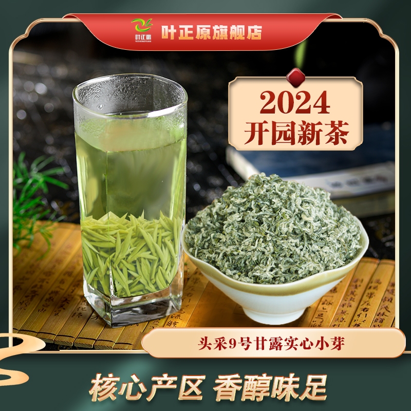 2024新茶蒙顶甘露开园头采9号甘露春茶 蒙顶山茶 碧螺春类绿茶 茶 特色产区绿茶 原图主图