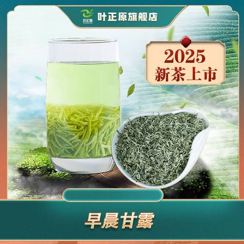 早春甘露 碧螺春、毛峰类特级绿茶