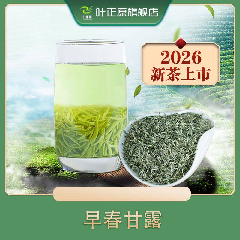 2026新茶蒙顶甘露 蒙顶山明前碧螺春、毛峰类特级绿茶