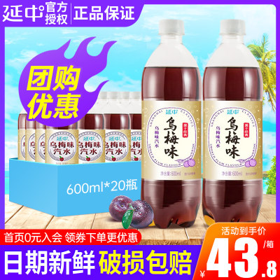 延中乌梅味汽水整箱碳酸饮料