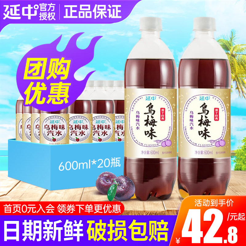 上海延中乌梅味汽水600ml*20瓶整箱夏日解渴小瓶碳酸汽水饮料