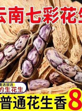 云南七彩花生干货零食下酒菜健康非去壳熟生花生特产花生米晒干