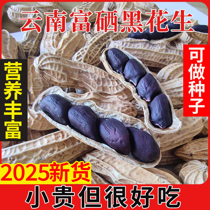 25年原味黑花生带壳小粒黑花生味甜黑皮可种植500g云南特产