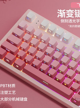 飞花侧刻PBT透光键帽樱花渐变粉原厂键盘键帽68/87/108键made68