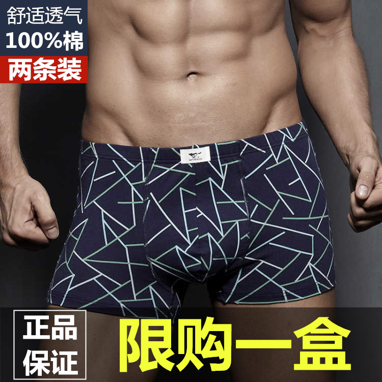 七匹狼男士内裤纯棉青年抗菌平角