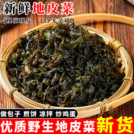 地软地皮菜野生清洗干货地衣菜新鲜农家地耳菜特产雷公菌包包子