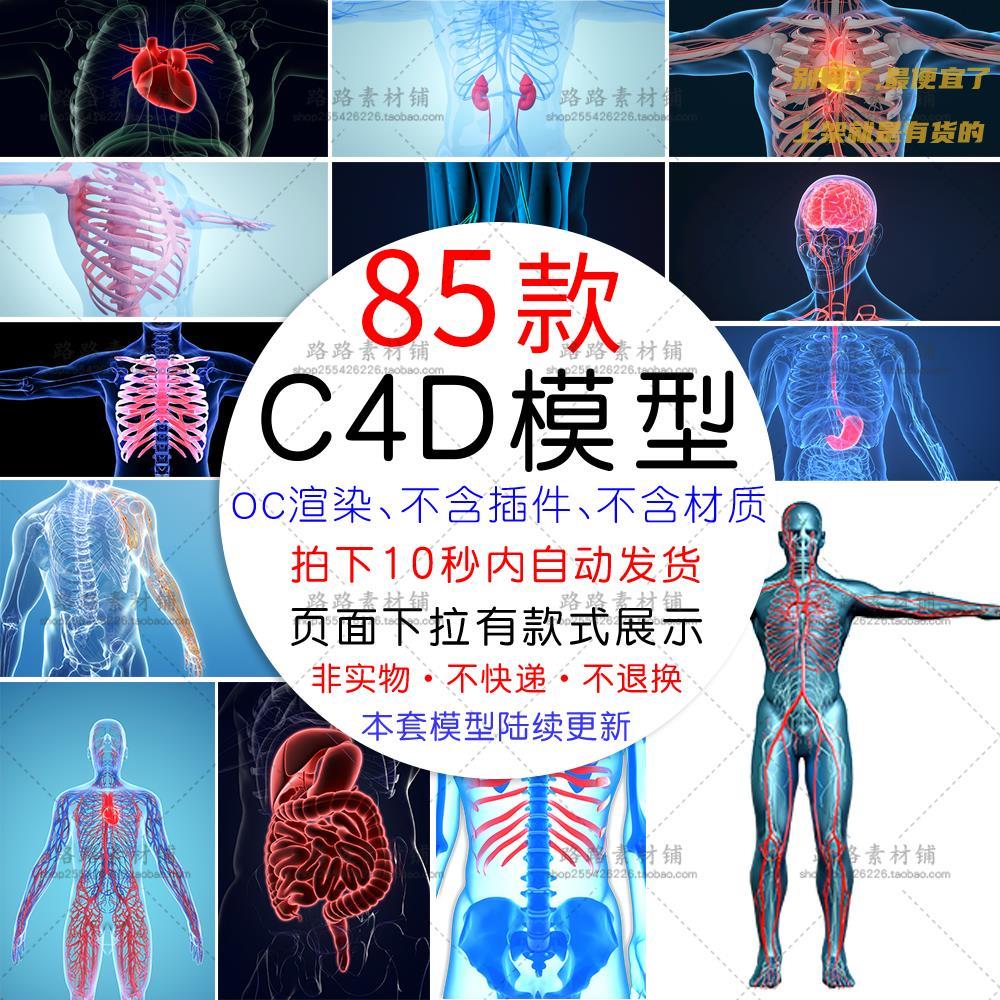 人体骨骼C4D工程源文件医疗健康器官透视神经3D模型设计素材