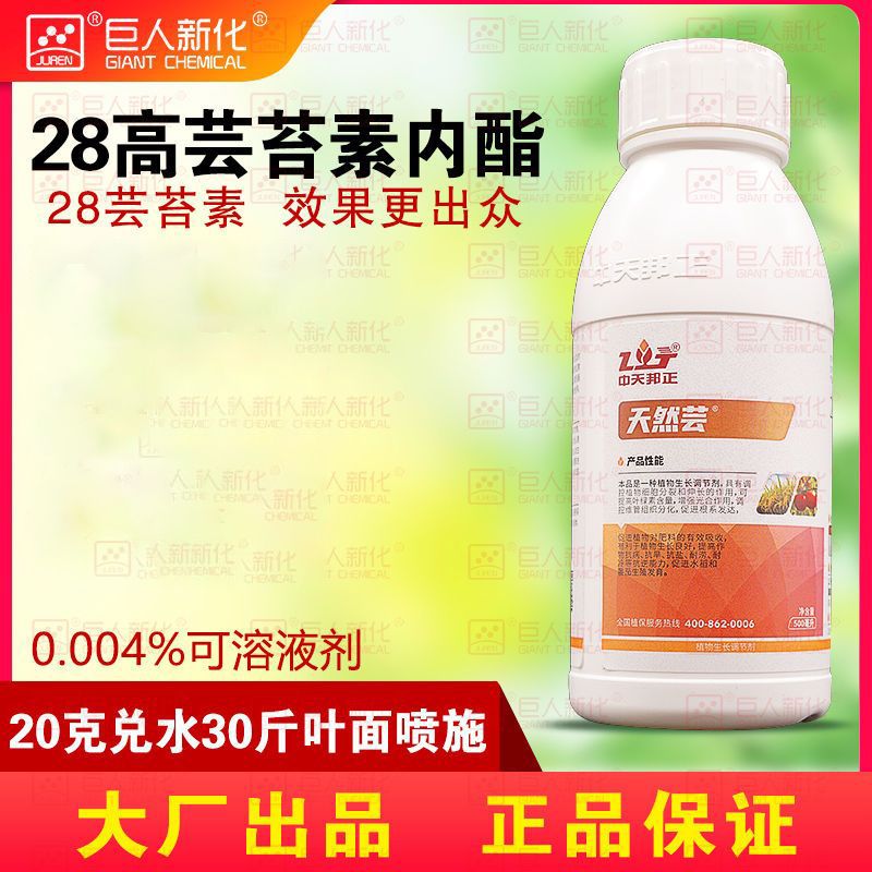 24表芸赤节剂调节剂解药害赤霉素