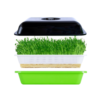 水培种植设备豌豆苗豆芽育苗托盘