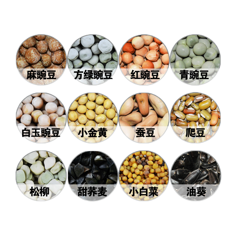 芽苗菜豆子无土栽培麻豌豆黄绿豆纸上种菜纯水培蔬菜发黄绿黑豆芽