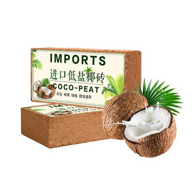 盆栽花卉绿植绘意低盐高泡发