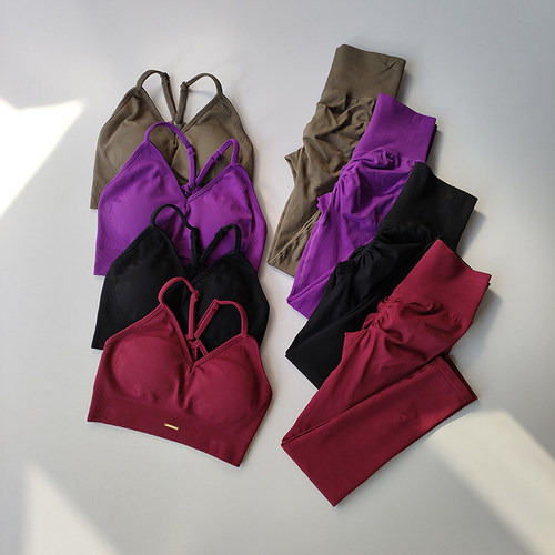 欧美性感交叉美背运动内衣套装