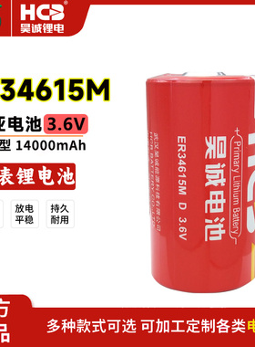 HCB昊诚ER34615M流量计定位测试桩监测仪埃斯顿机器人3.6V锂电池