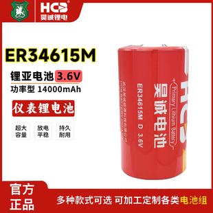 HCB昊诚ER34615M流量计定位测试桩监测仪埃斯顿机器人3.6V锂电池