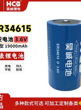 HCB昊诚ER34615水表燃气表流量计就地温度显示仪表数控3.6V锂电池