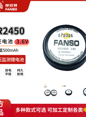FANSO孚安特ER2450扣式锂电池3.6V适用TPMS胎压税控机替TLH-2450