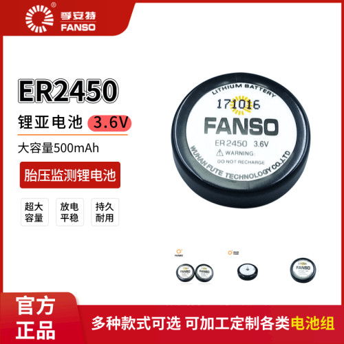 孚安特ER2450TPMS胎压税控机电池