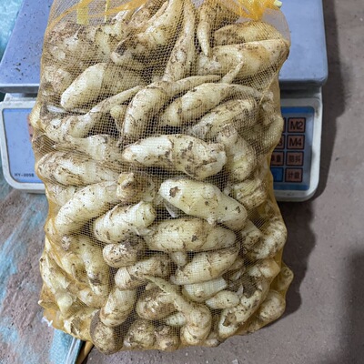 嫩姜姜芽仔姜新鲜包邮五斤山东生姜醋泡姜泡菜红芽姜小嫩姜芽鲜姜