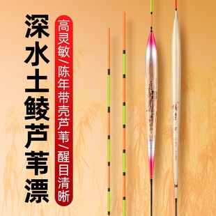 正品手工带壳芦苇浮漂加粗醒目高灵敏轻口土鲮鱼漂野钓黑坑鲤鱼漂
