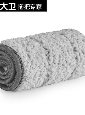 大卫平板拖把头替换装 适用于P15 P16平板拖