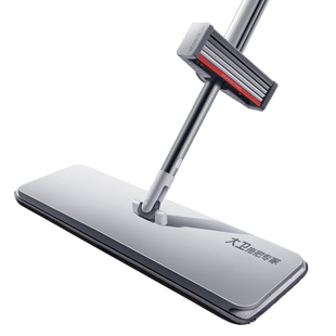 大卫平板拖把家用一拖干湿两用净拖布拖地神器2026新款木地板专用