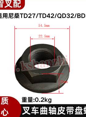 尼桑TD27/TD42/QD32/BD30 叉车配件曲轴皮带盘螺母 1005051-X2