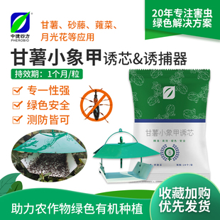 中捷四方甘薯小象甲诱芯性诱剂诱捕器套装 昆虫信息素 红薯地甲虫