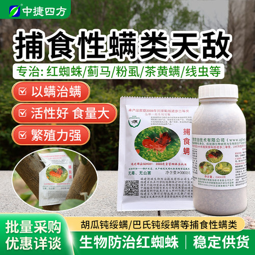 顺丰包邮捕食螨红蜘蛛蓟马粉虱