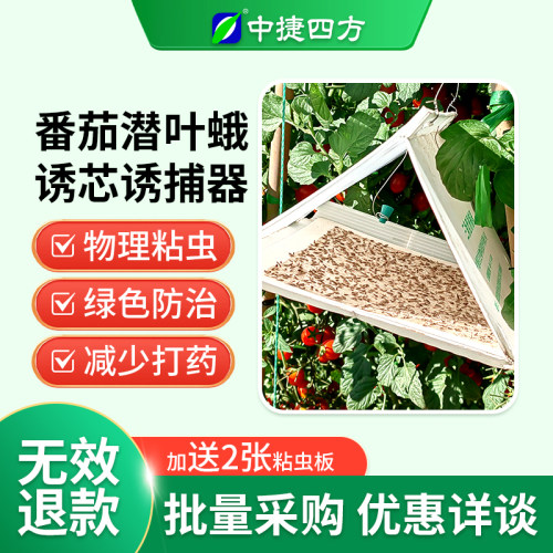 番茄潜叶蛾诱芯迷向丝中捷四方