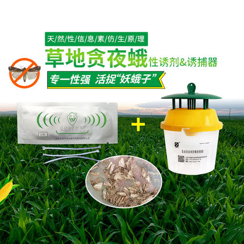 中捷四方草地贪夜蛾诱捕器性