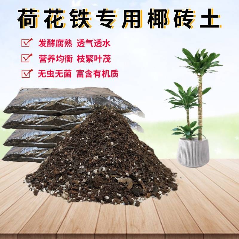 荷花铁椰砖土种植土疏松透气图片