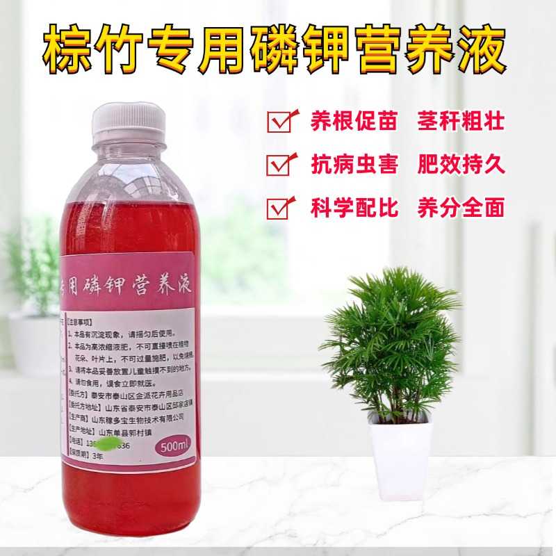 棕竹专用营养液室内阳台庭院盆