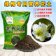 绿梅专用营养花土室内客厅庭院盆景种老桩植物翻换种植土肥沃透气