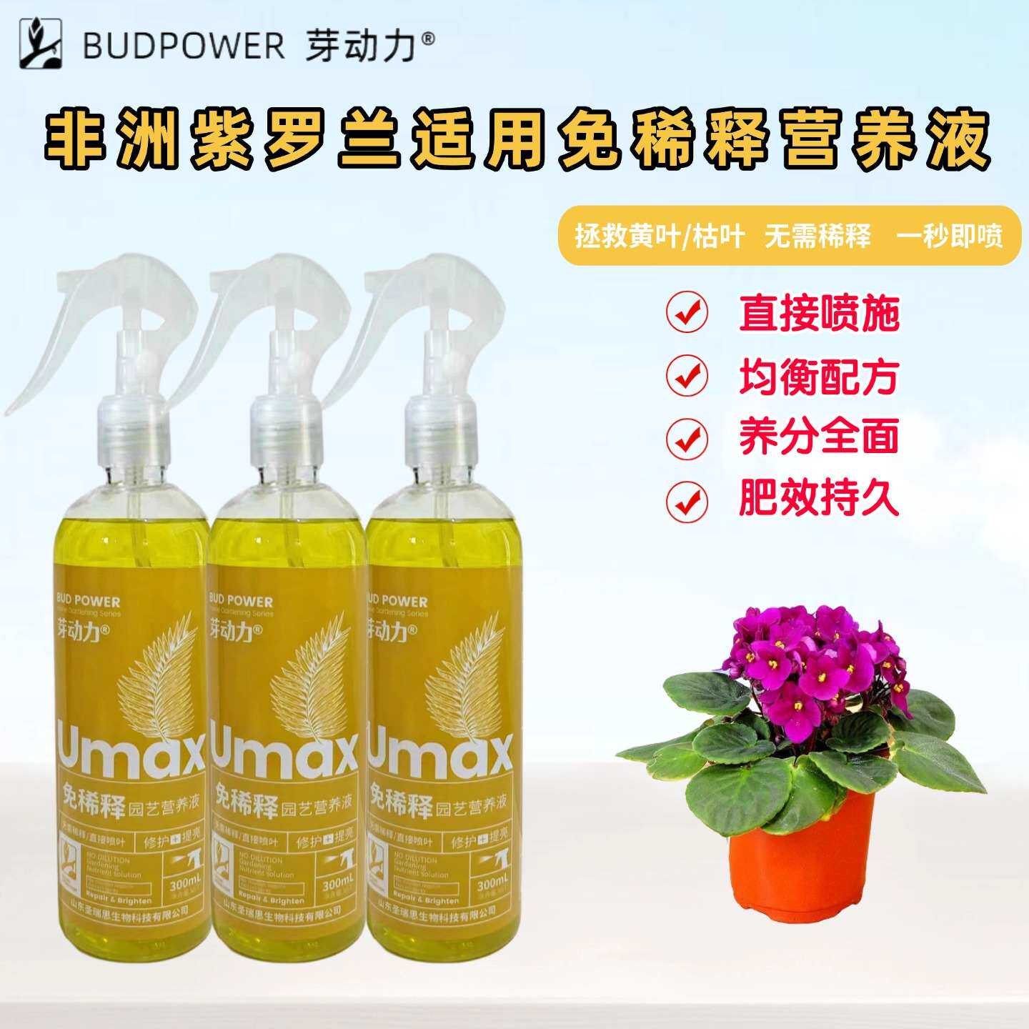 非洲紫罗兰免稀释营养液室内阳台盆栽绿植物专用花卉喷施叶面肥料