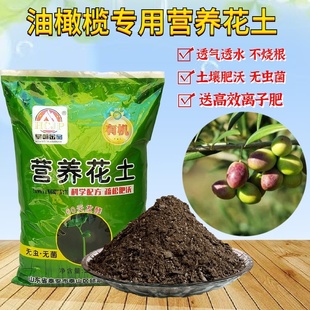 油橄榄树专用营养土庭院客厅阳台盆景栽棒棒糖形植物翻盆换土透气