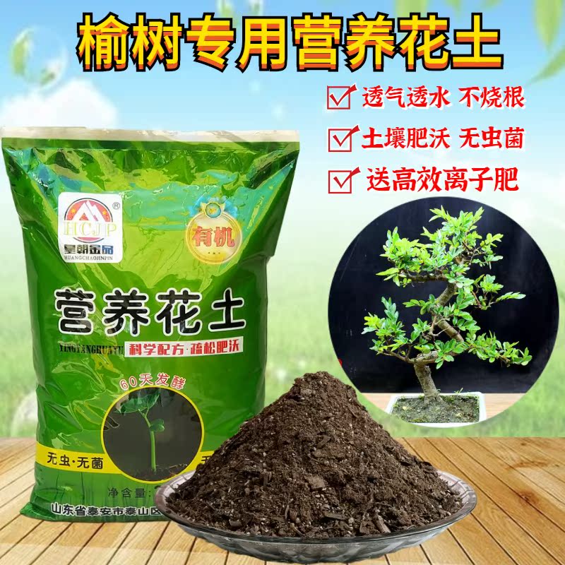 客厅阳台盆景榔榆透气营养花土