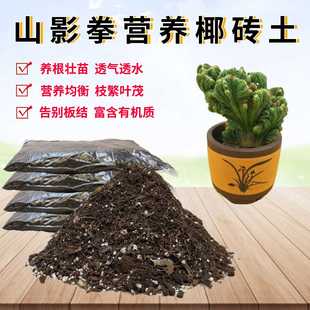 仙人山虎头罗汉山影拳营养椰砖土盆栽多肉植物专用翻换种植土透气