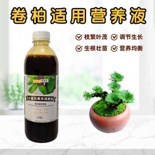 卷柏九死还魂草浓缩营养液盆景栽绿植物专用大量元素水溶花卉肥料