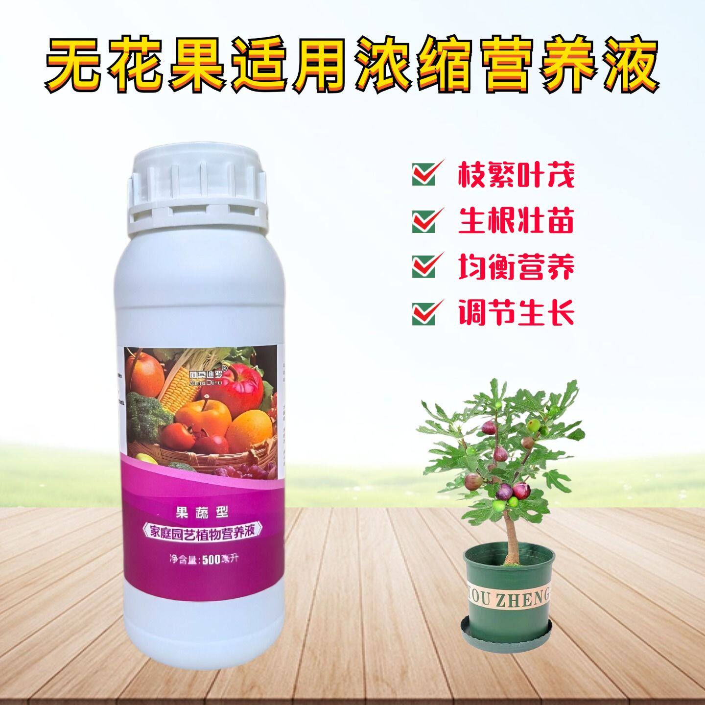 无花果苗营养液大果波姬红盆栽地栽矮化植物专用浓缩水溶果树肥料