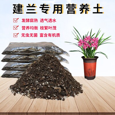 建兰椰砖土有机种植土透气