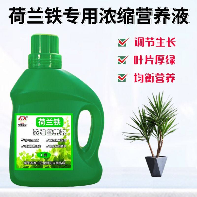 荷兰铁巨丝兰专用浓缩营养液家用盆栽绿植物绿叶生根通用养花肥料,鲜花速递/花卉仿真/绿植园艺,家庭园艺肥料,淘宝优惠券,粉丝福利购,淘宝优惠卷