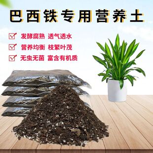 巴西铁美人铁香血龙树专用营养椰砖土盆栽植物翻换有机种植土透气