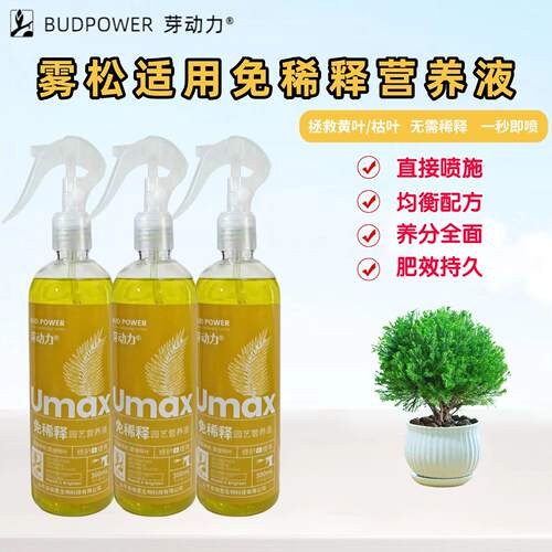 雾松雾凇放青松免稀释营养液室内盆景绿植物花卉专用喷施叶面肥料