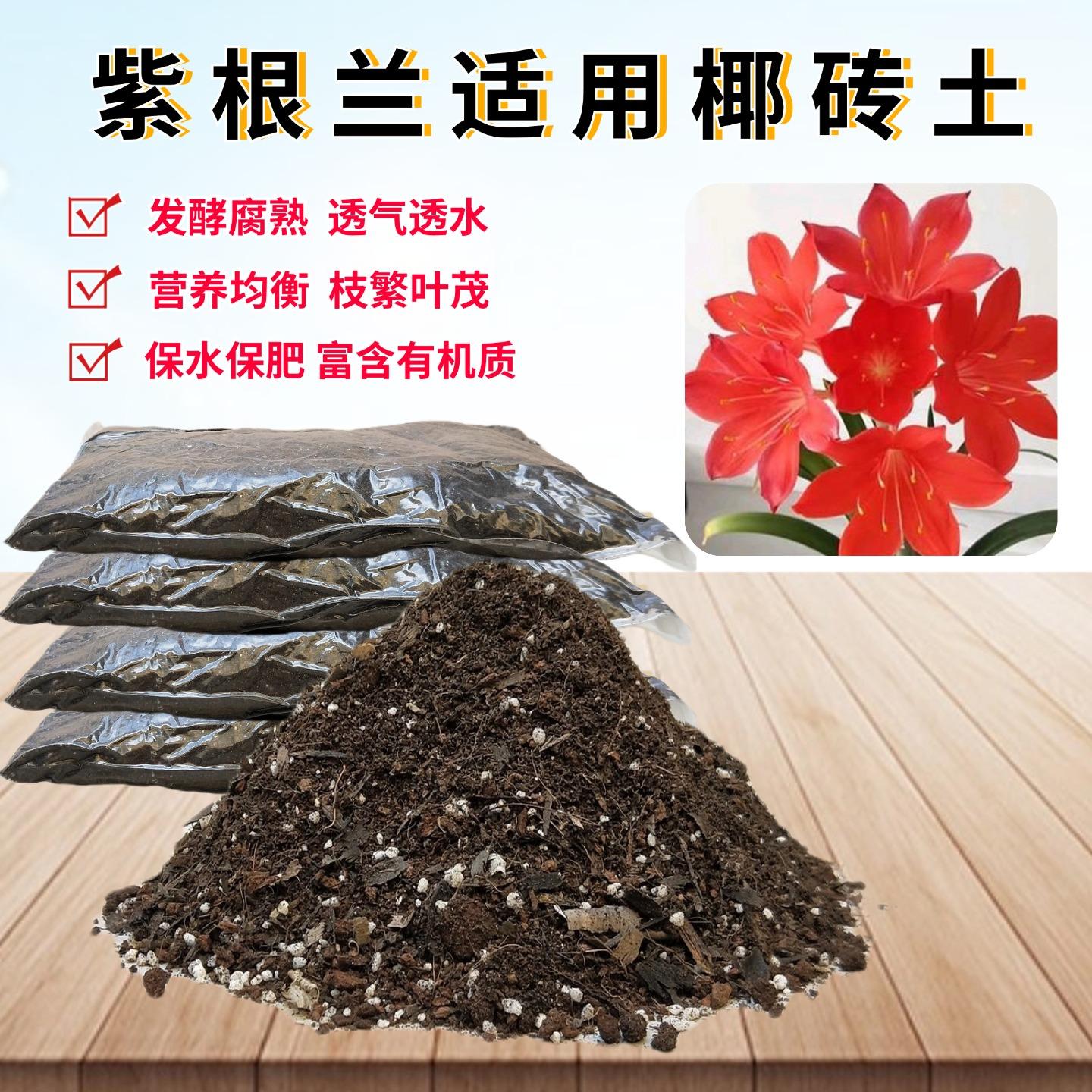 紫根兰椰砖土育苗种植土透气图片