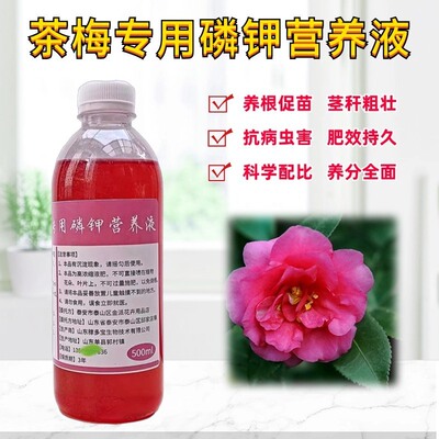 茶梅磷钾营养液复合水溶花肥料