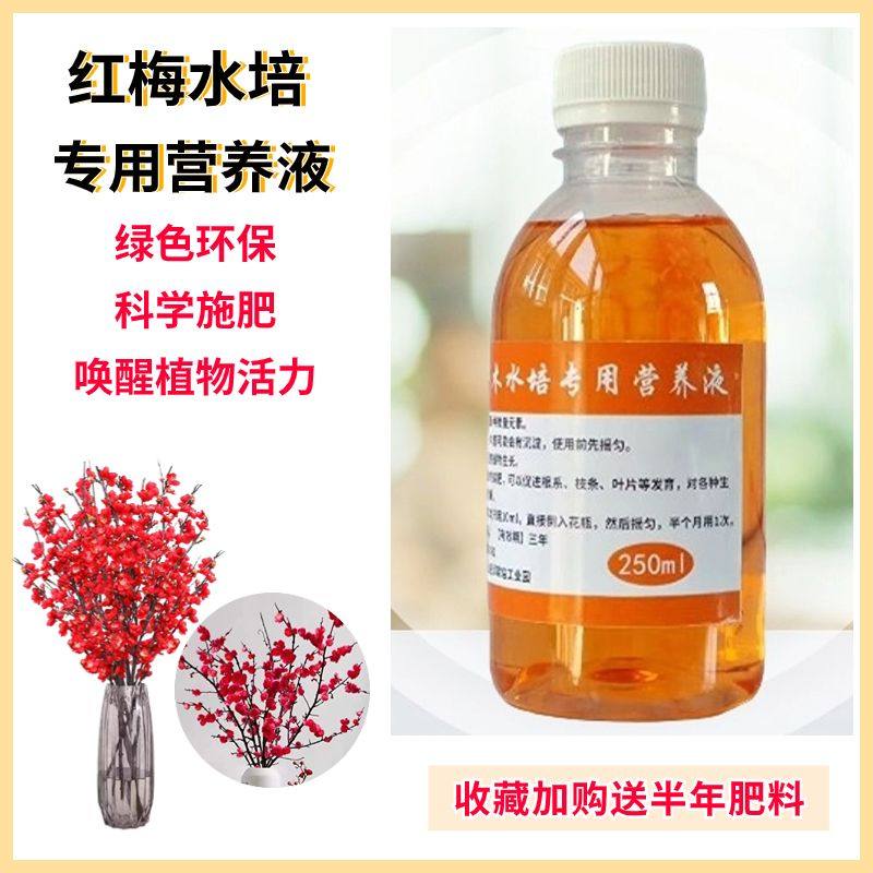红梅水培专用营养液室内水养干枝鲜枝盆栽绿植物腊梅水溶花卉肥料,鲜花速递/花卉仿真/绿植园艺,家庭园艺肥料,淘宝优惠券,粉丝福利购,淘宝优惠卷